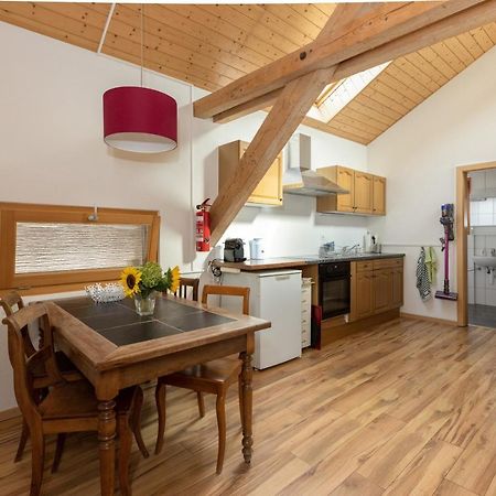 Guesthouse La Moliere, 3 Bedrooms, Private House, Horse Farm, Full Nature Murist Esterno foto