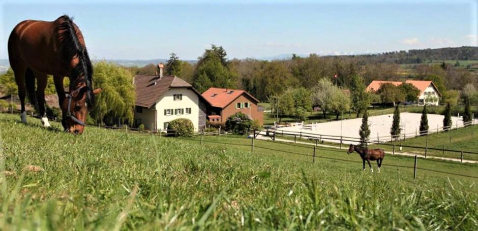 Guesthouse La Moliere, 3 Bedrooms, Private House, Horse Farm, Full Nature Murist Esterno foto
