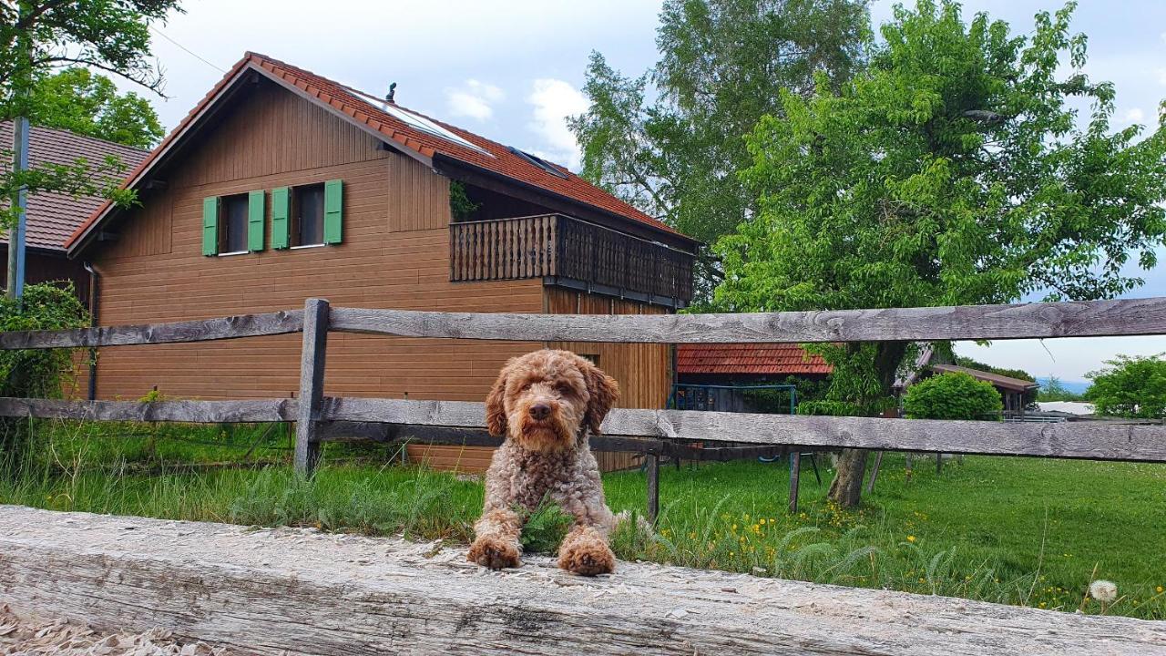 Guesthouse La Moliere, 3 Bedrooms, Private House, Horse Farm, Full Nature Murist Esterno foto