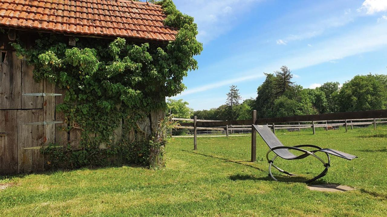 Guesthouse La Moliere, 3 Bedrooms, Private House, Horse Farm, Full Nature Murist Esterno foto