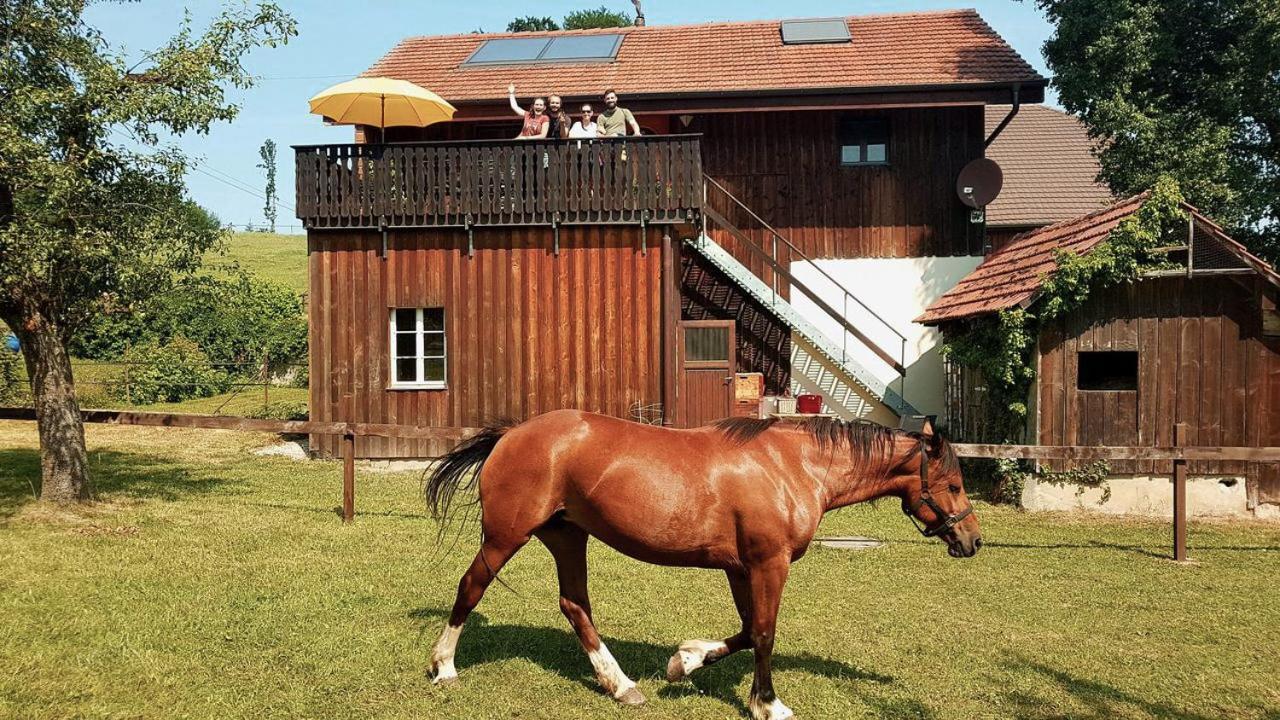 Guesthouse La Moliere, 3 Bedrooms, Private House, Horse Farm, Full Nature Murist Esterno foto
